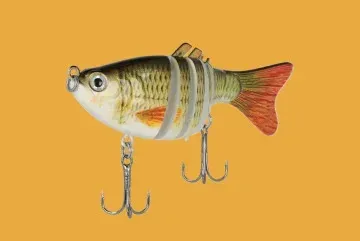 Sfida della fotografia di prodotti da pesca